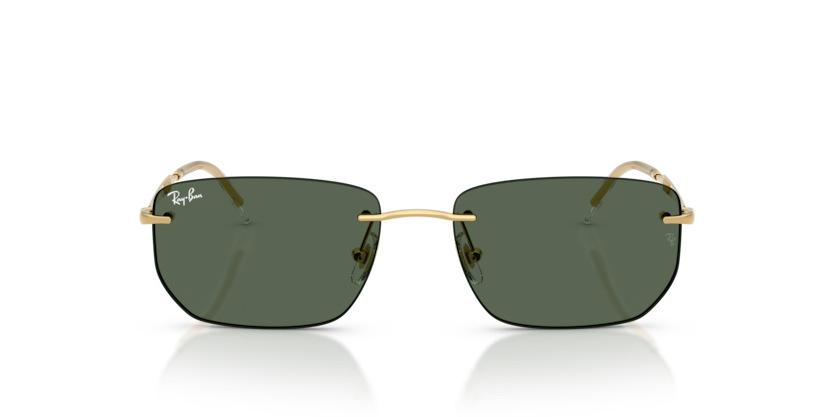 Ray-Ban RB3768 Sunglasses