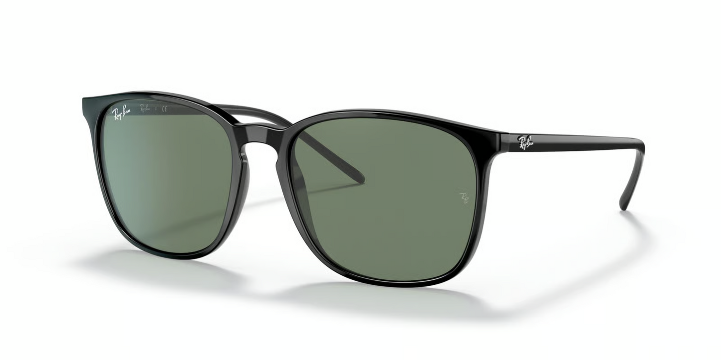 Ray-Ban RB4387F Sunglasses