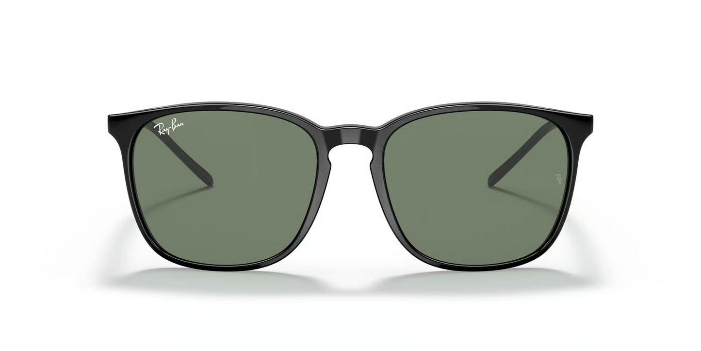 Ray-Ban RB4387F Sunglasses