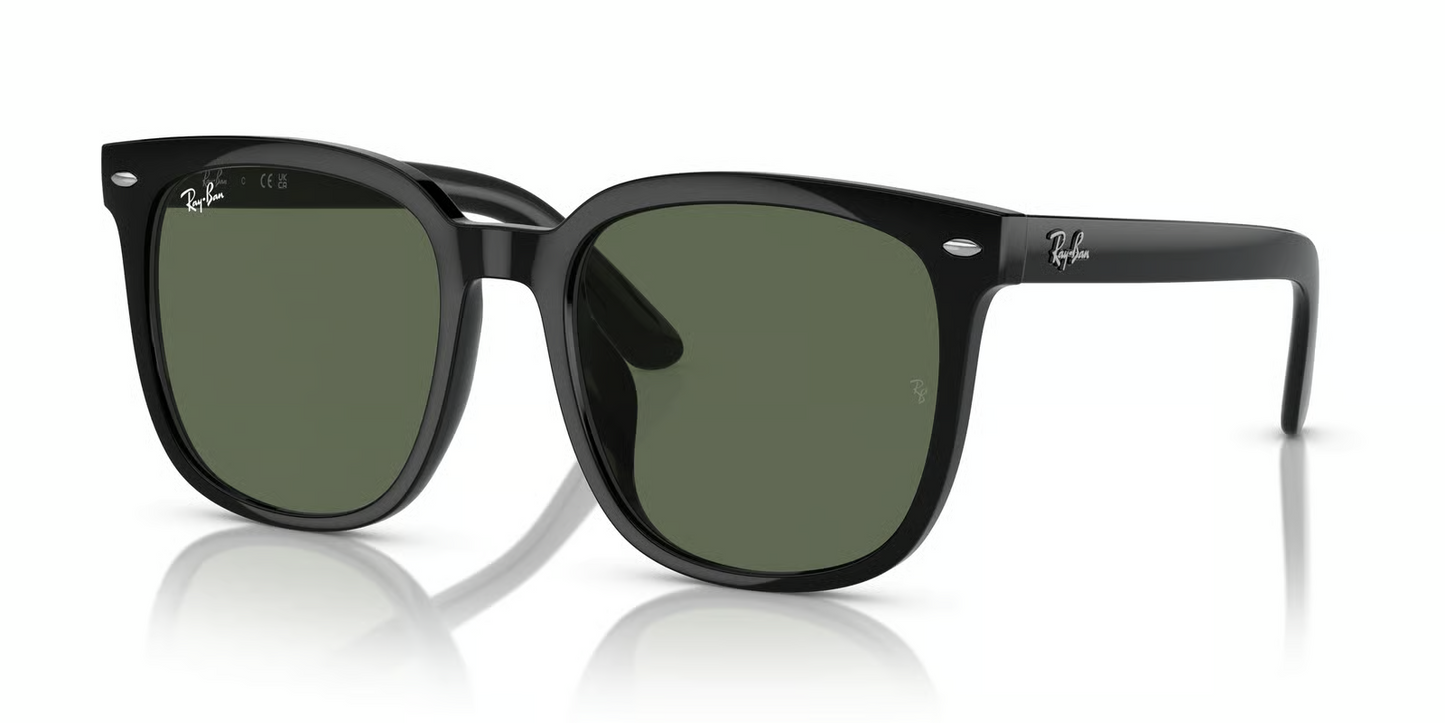 Ray-Ban RB4401D Sunglasses
