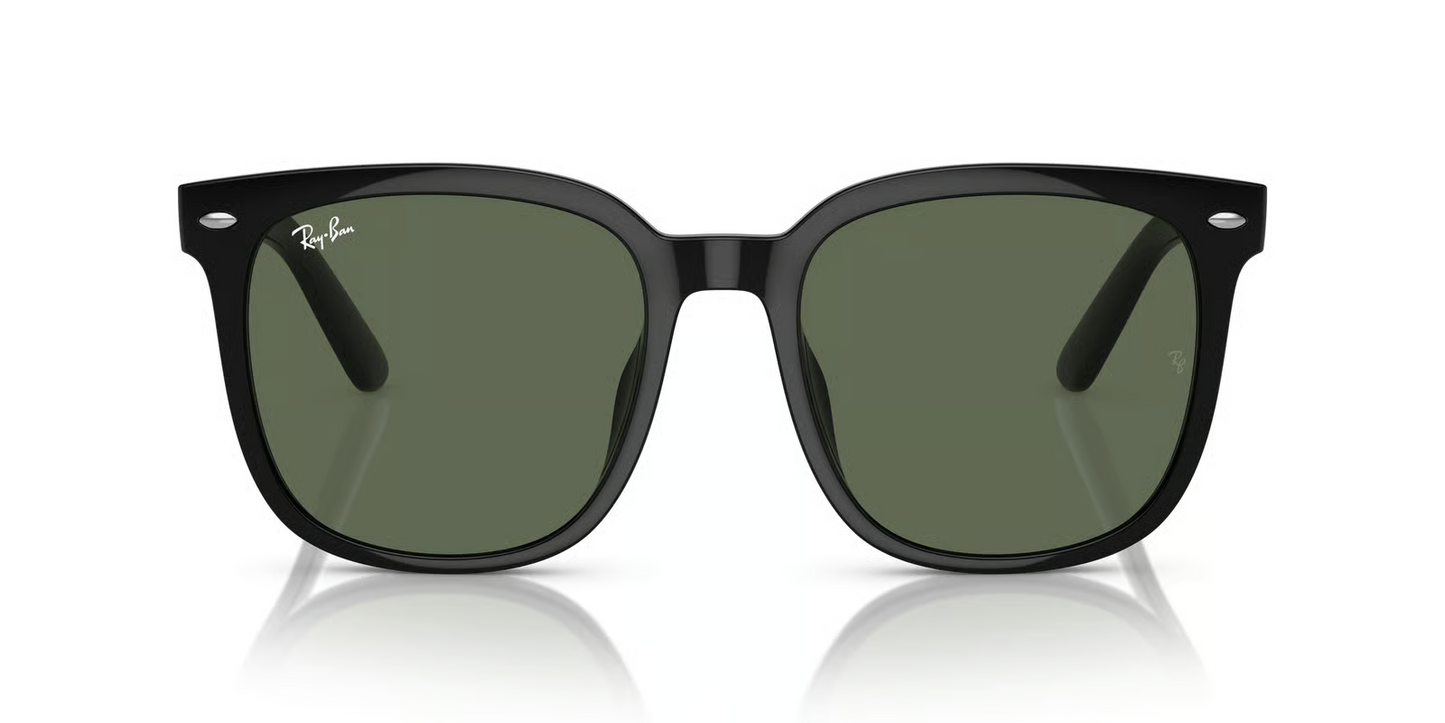 Ray-Ban RB4401D Sunglasses