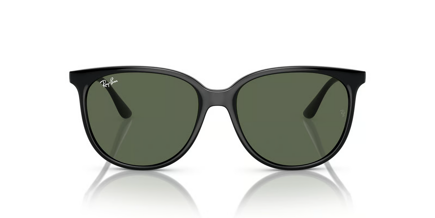 Ray-Ban RB4378F Sunglasses