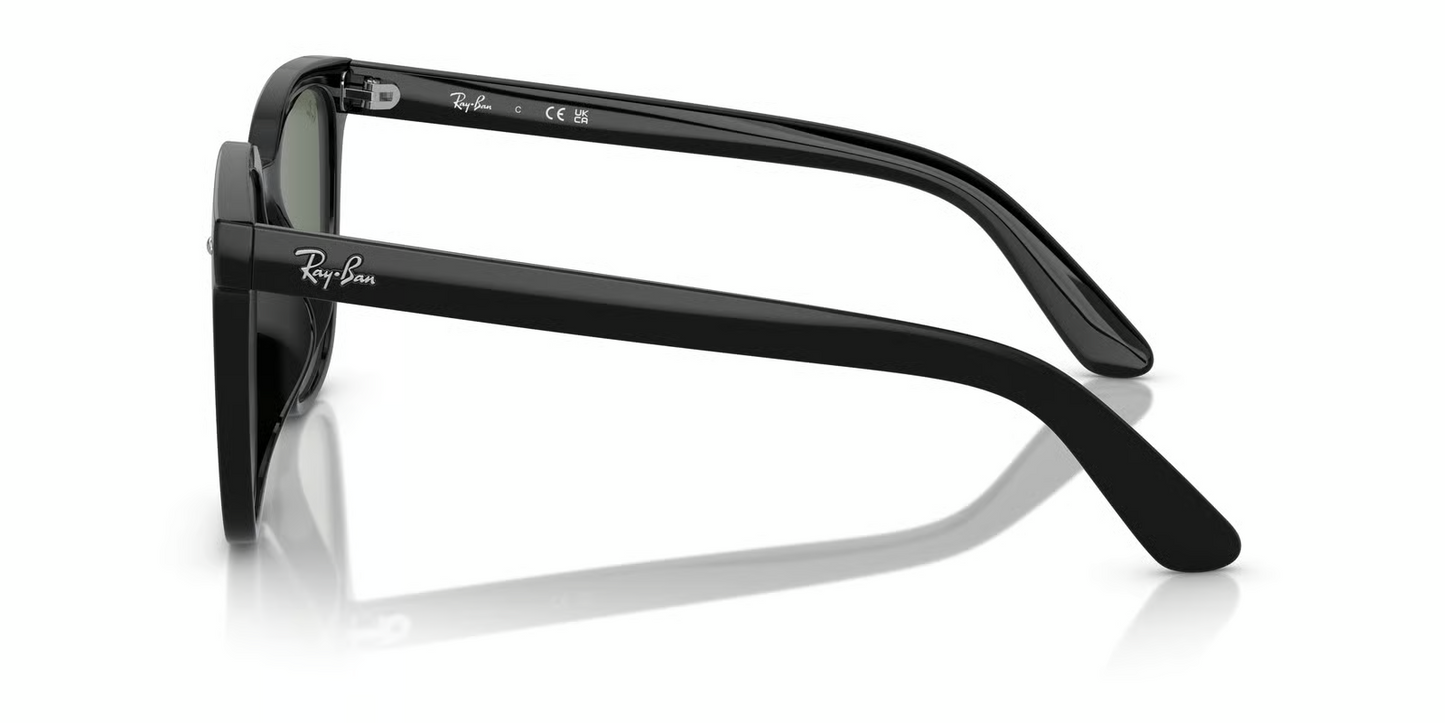 Ray-Ban RB4401D Sunglasses