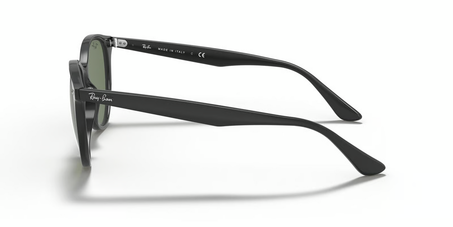 Ray-Ban RB4305 Sunglasses