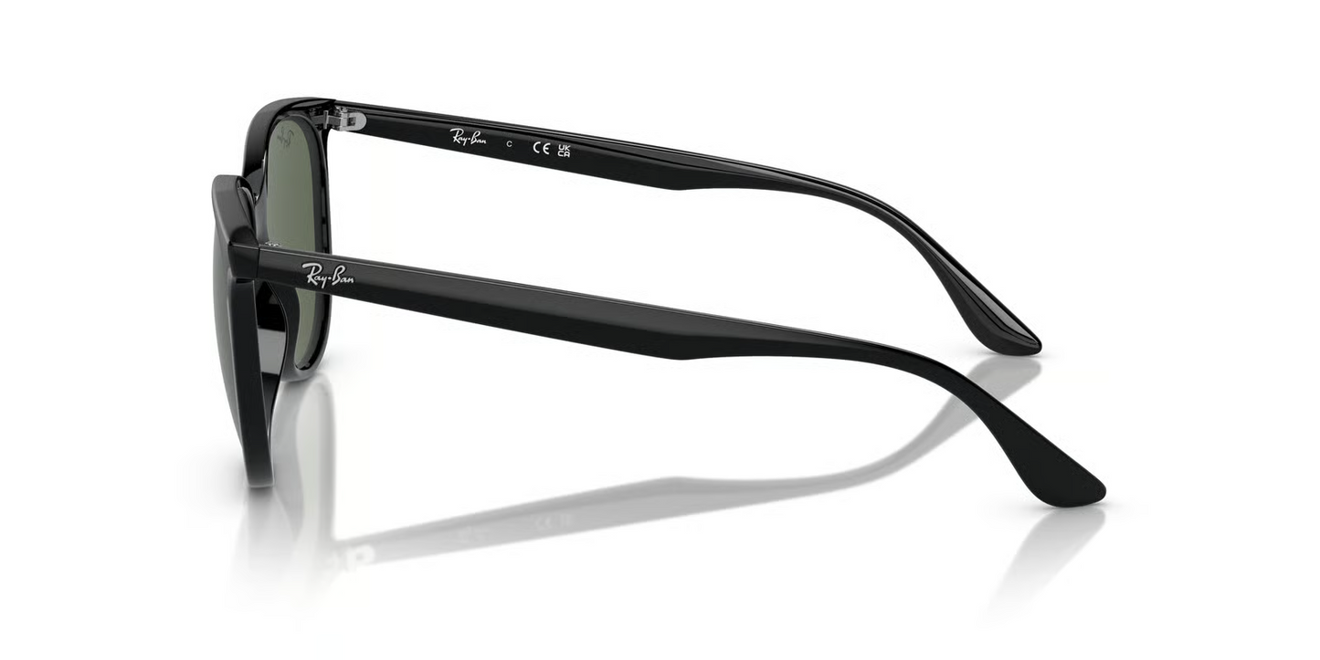 Ray-Ban RB4378F Sunglasses