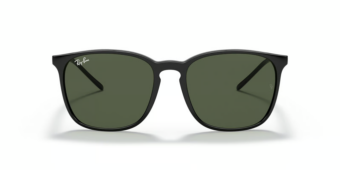 Ray-Ban RB4387 Sunglasses