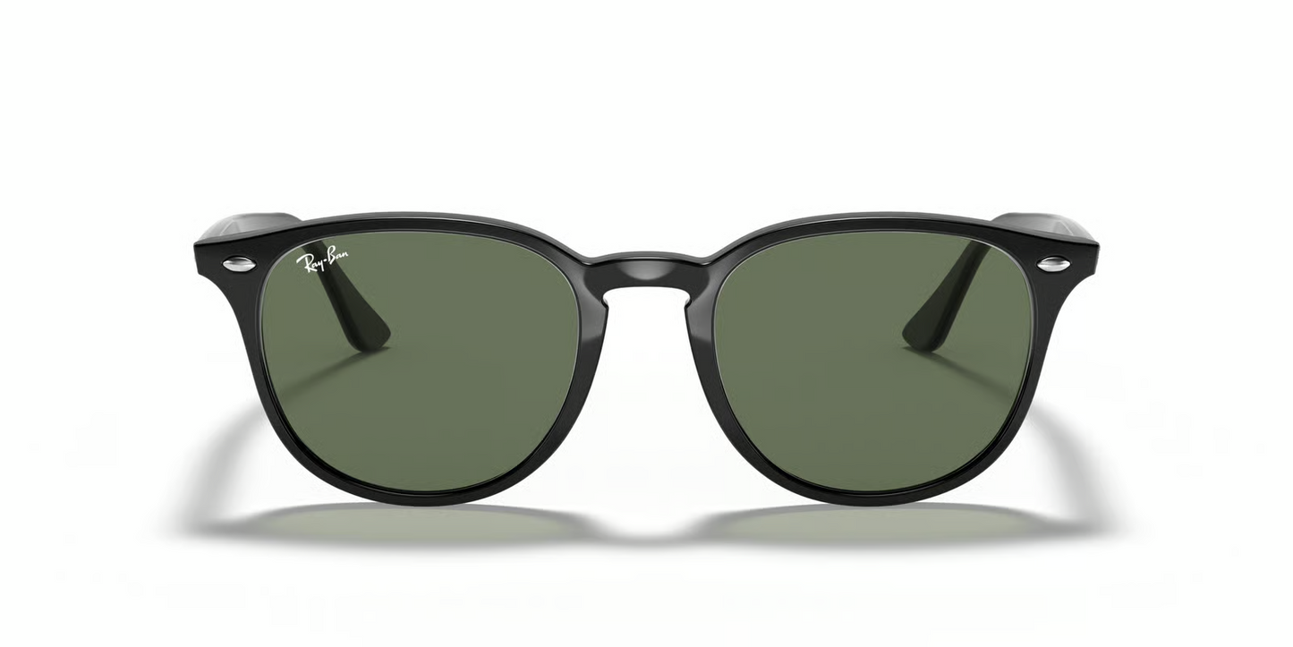 Ray-Ban RB4259F Sunglasses