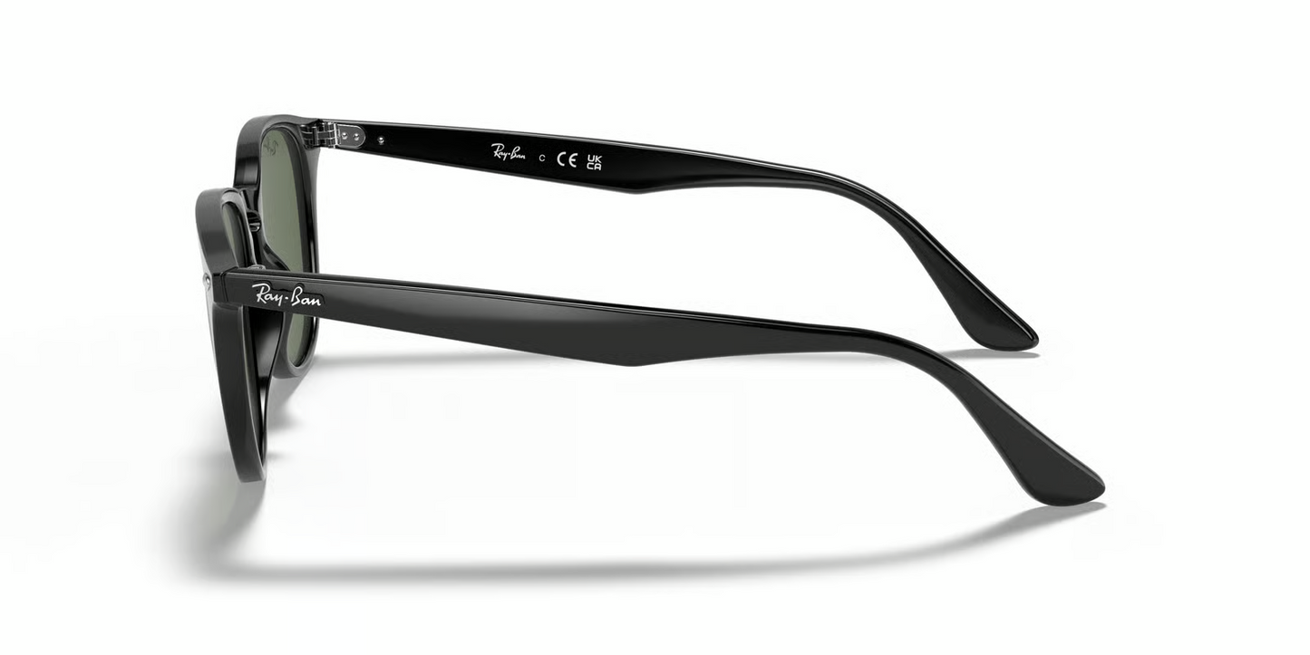 Ray-Ban RB4259F Sunglasses