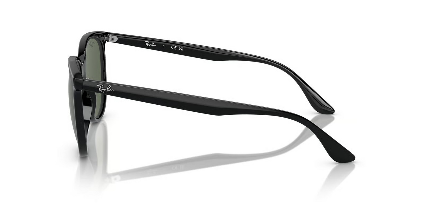 Ray-Ban RB4378 Sunglasses