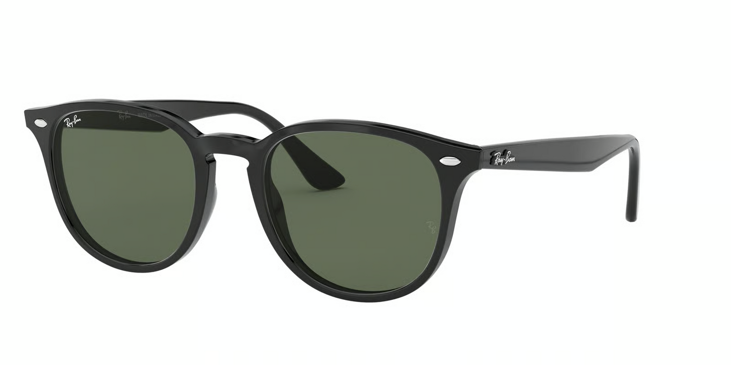 Ray-Ban RB4259F Sunglasses