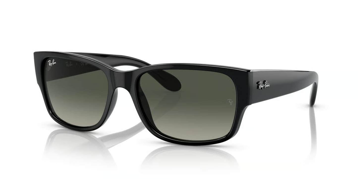 Ray-Ban RB4388 Sunglasses