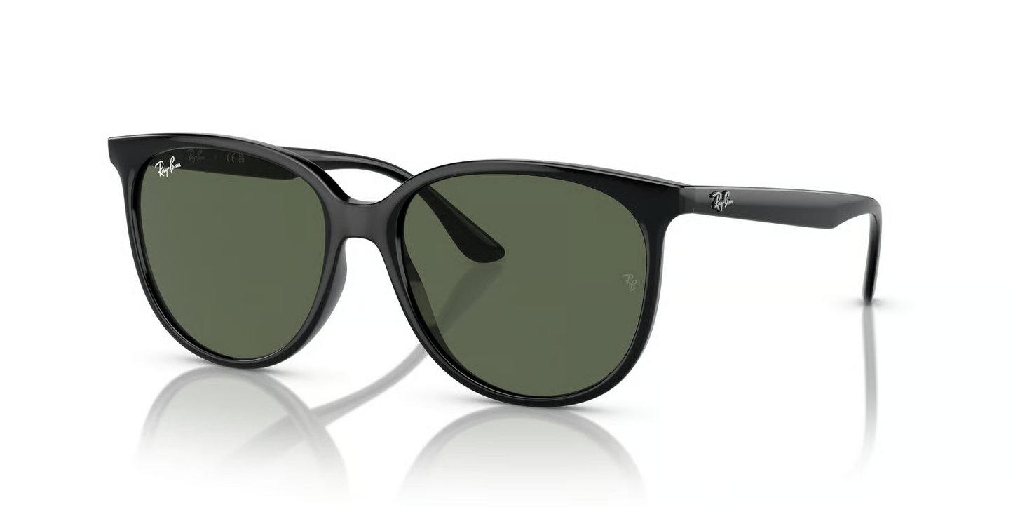 Ray-Ban RB4378F Sunglasses