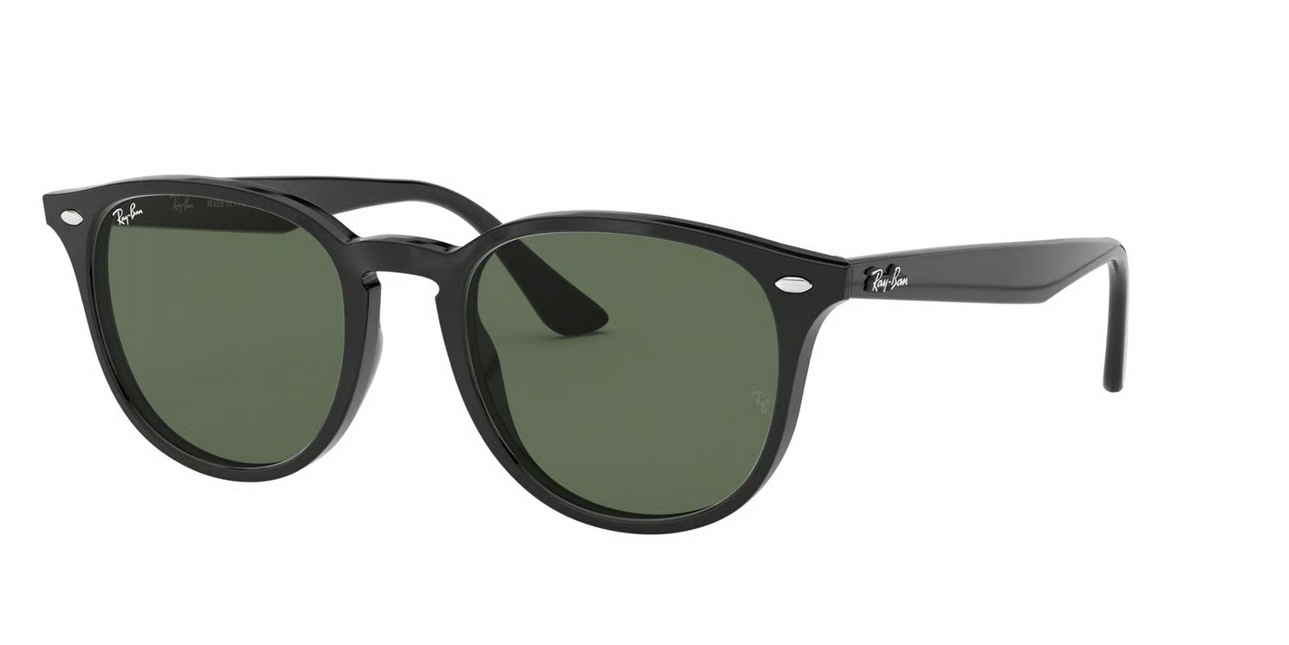 Ray-Ban RB4259 Sunglasses