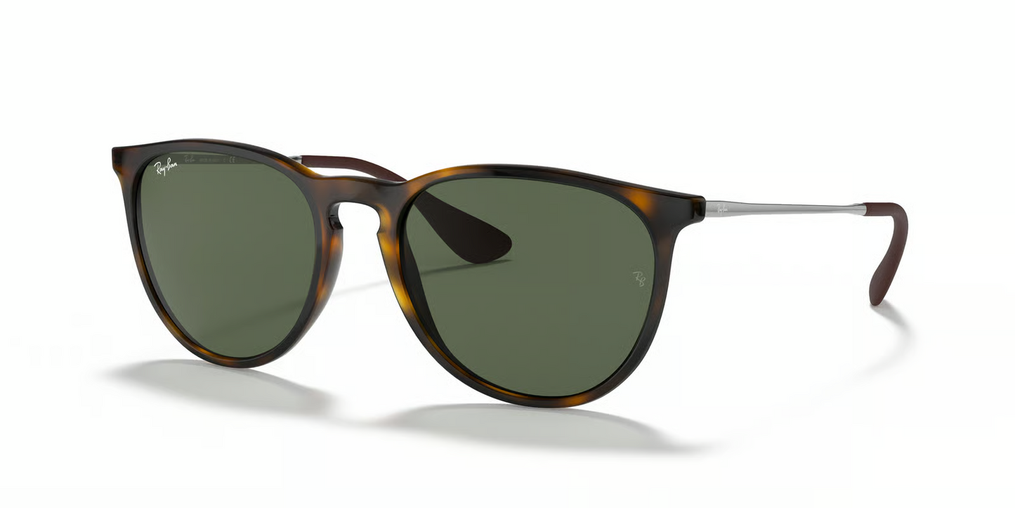 Ray-Ban RB4171 Erika Sunglasses