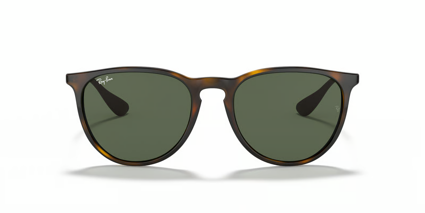 Ray-Ban RB4171 Erika Sunglasses