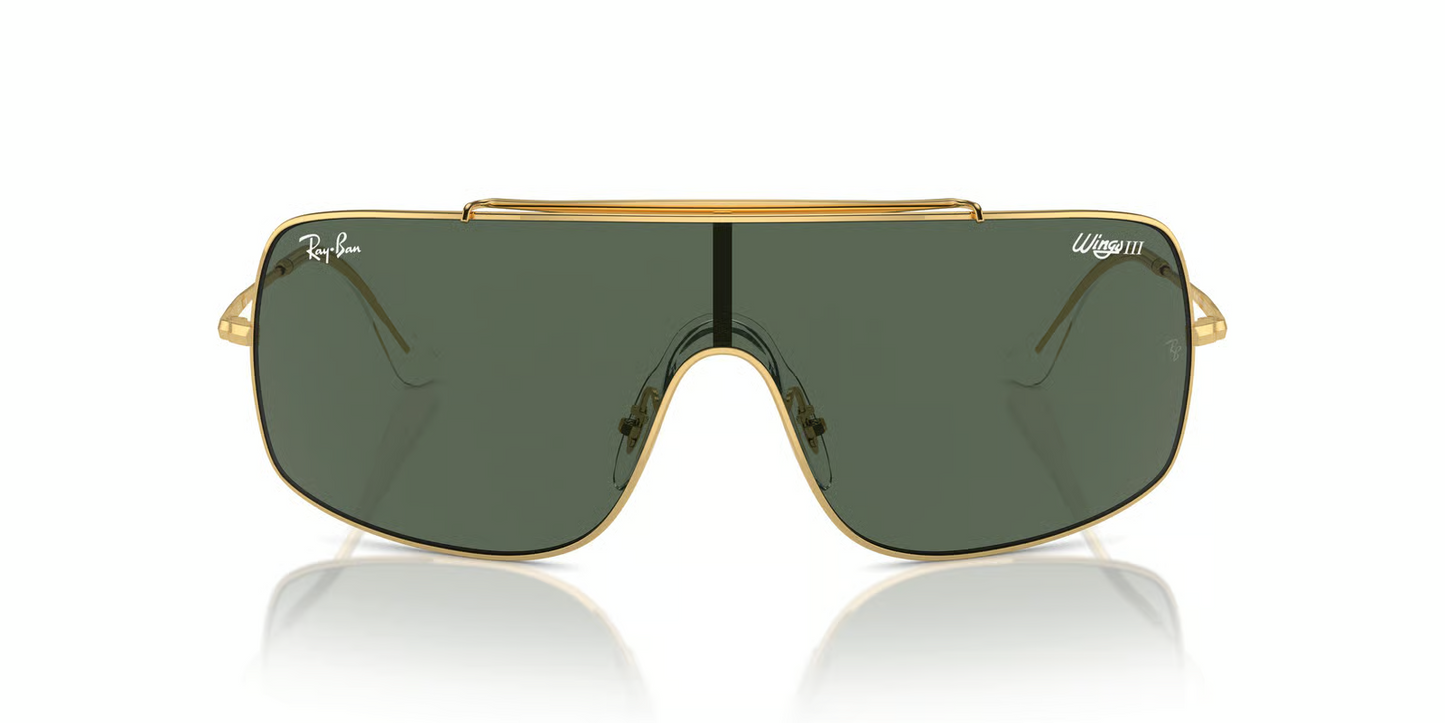 Ray-Ban RB3897 Wings iii Sunglasses