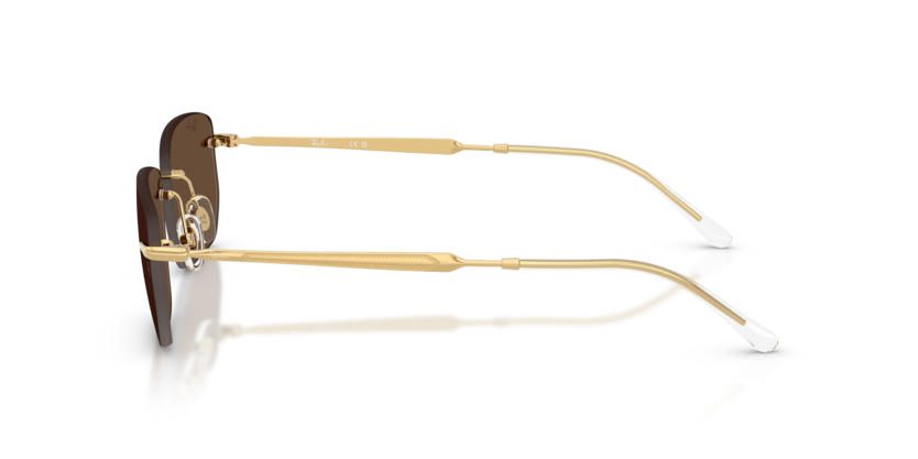 Ray-Ban RB3768 Sunglasses