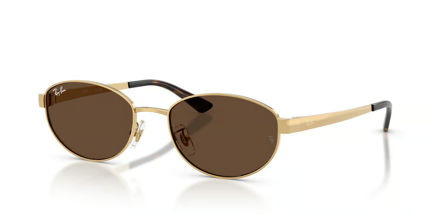 Ray-Ban RB3774D Sunglasses