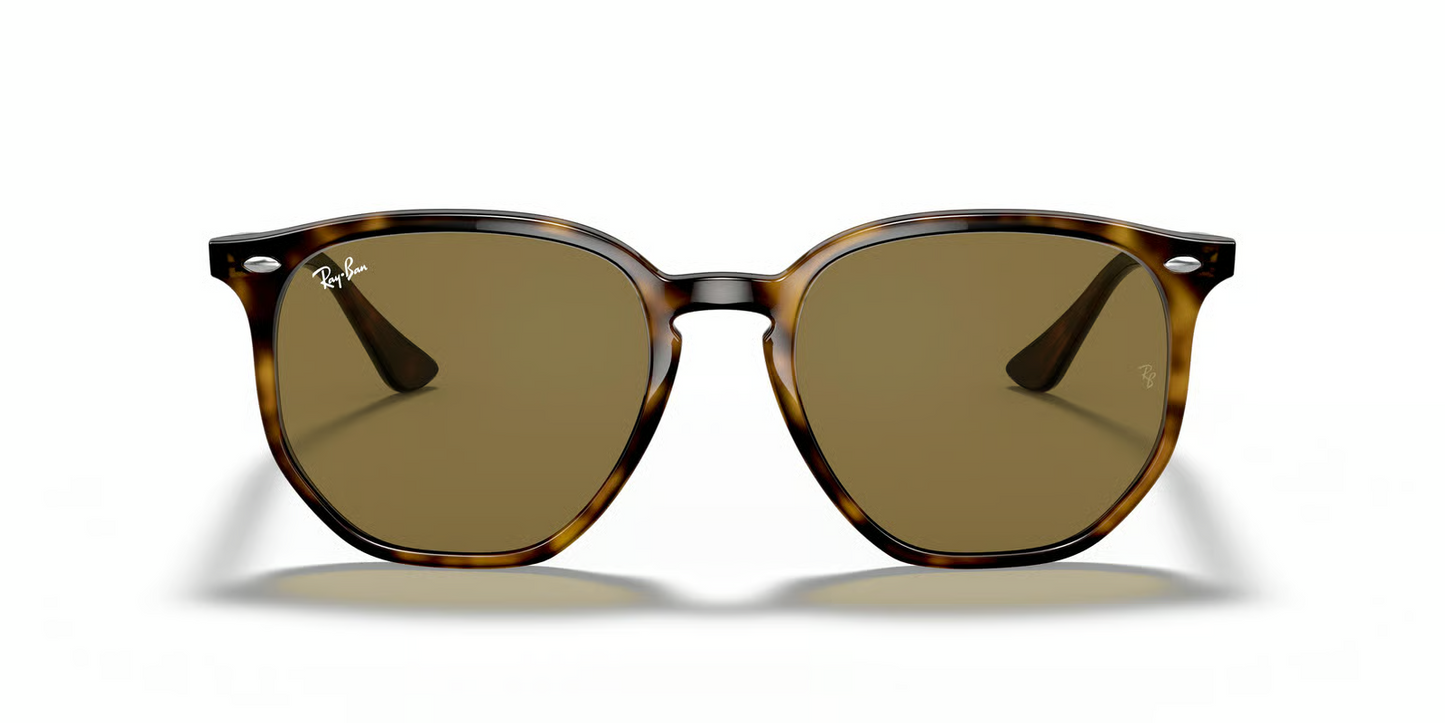 Ray-Ban RB4306 Sunglasses