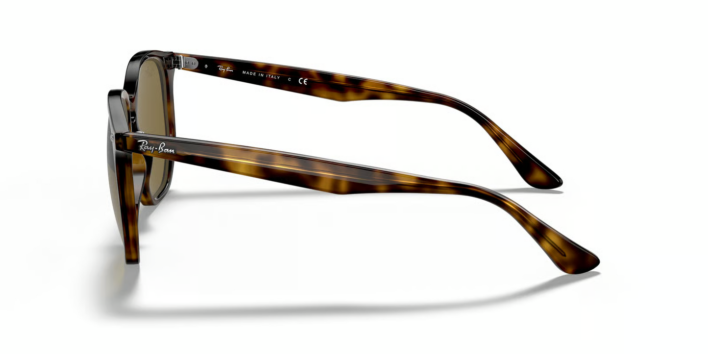 Ray-Ban RB4306 Sunglasses