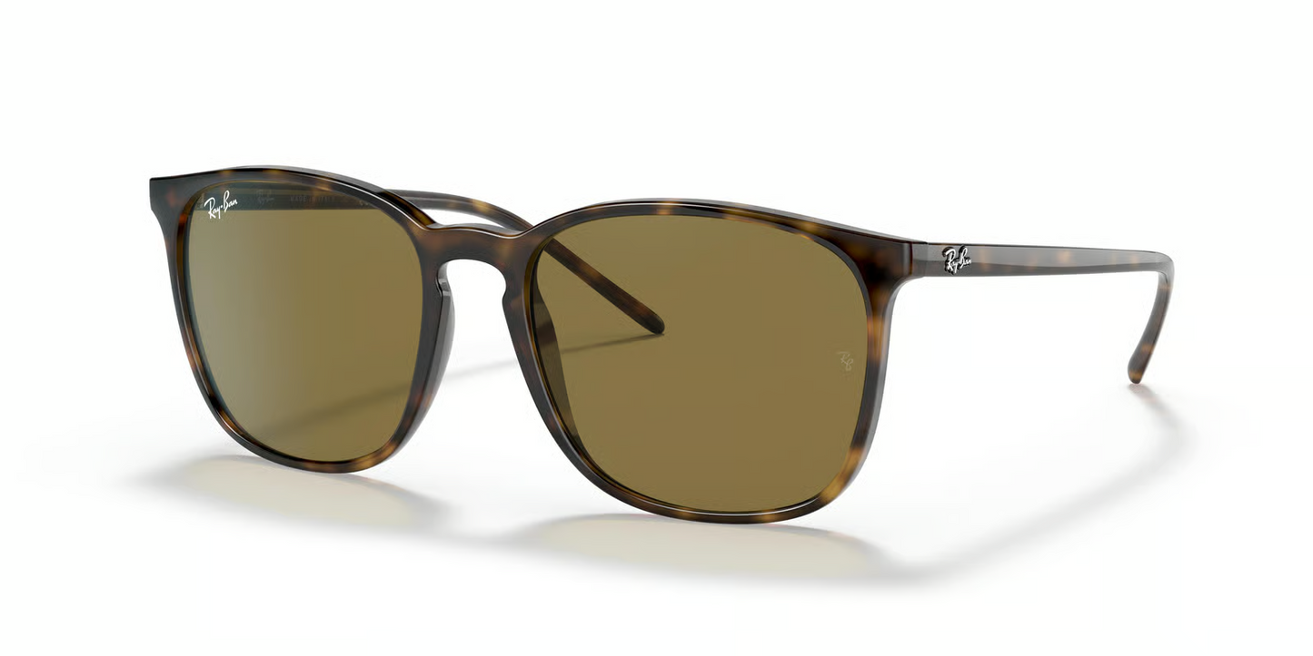 Ray-Ban RB4387 Sunglasses