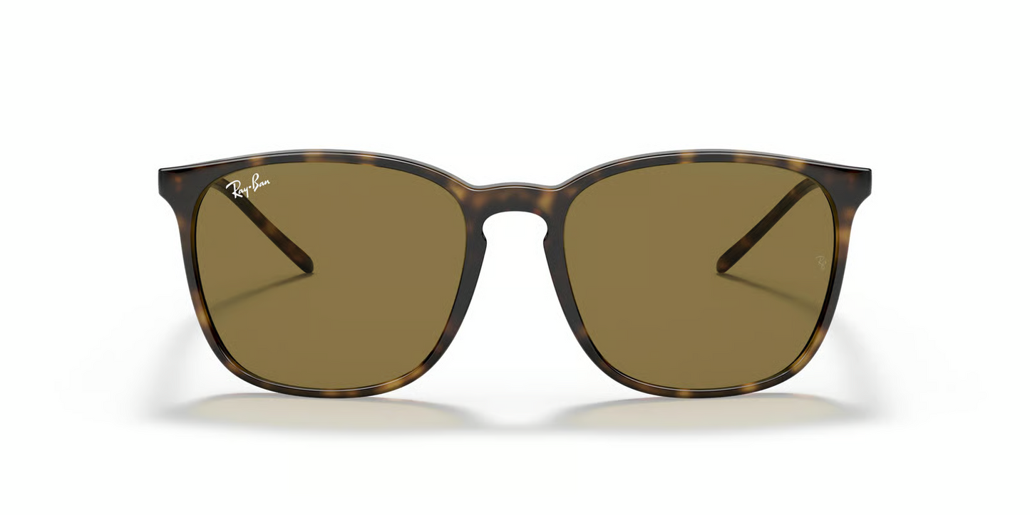Ray-Ban RB4387 Sunglasses