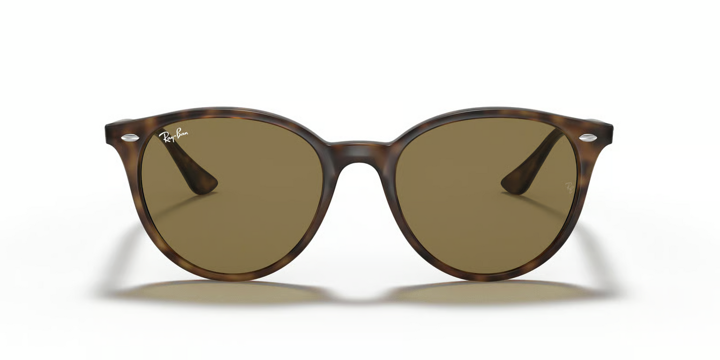 Ray-Ban RB4305F Sunglasses
