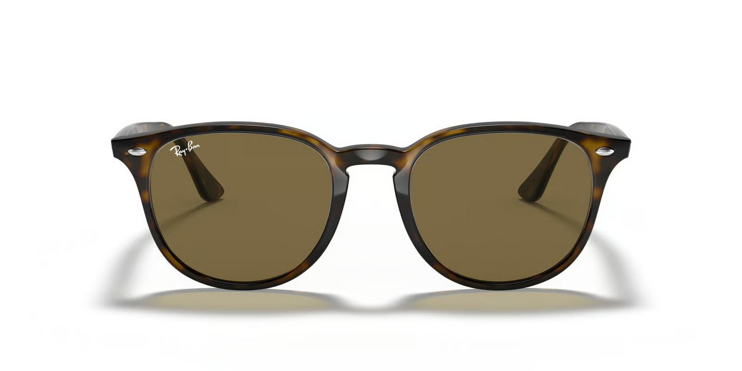 Ray-Ban RB4259F Sunglasses