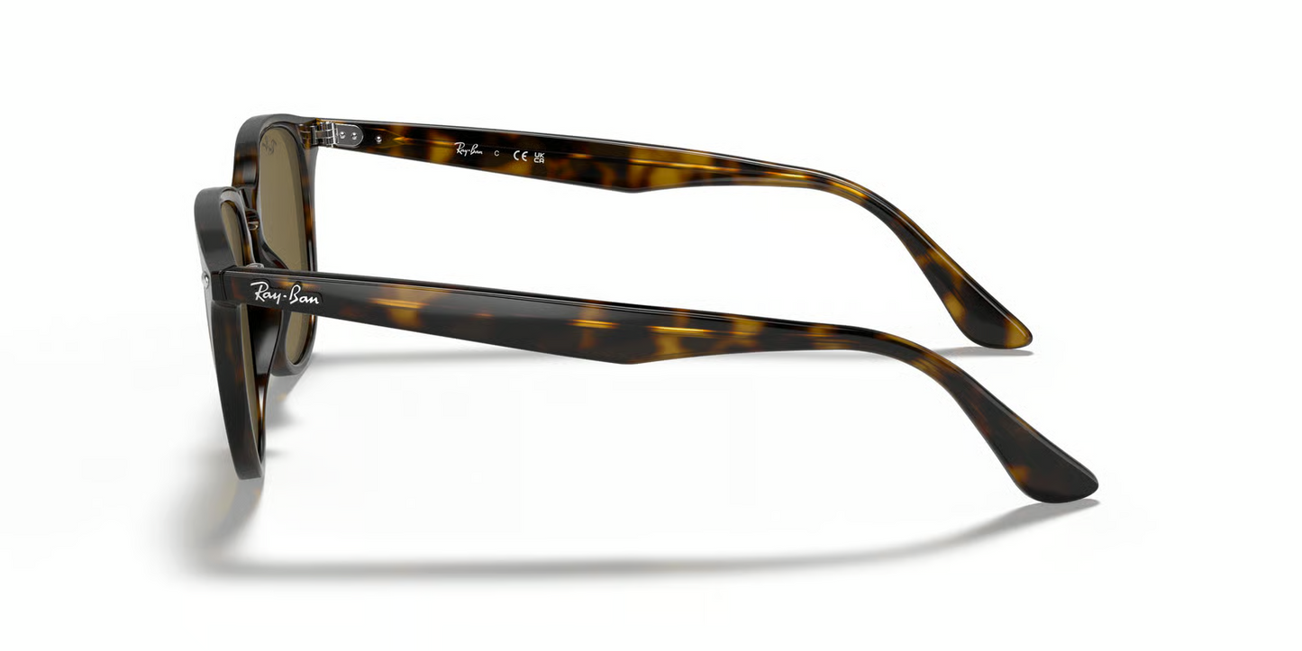 Ray-Ban RB4259 Sunglasses