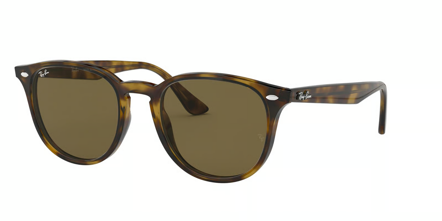 Ray-Ban RB4259F Sunglasses