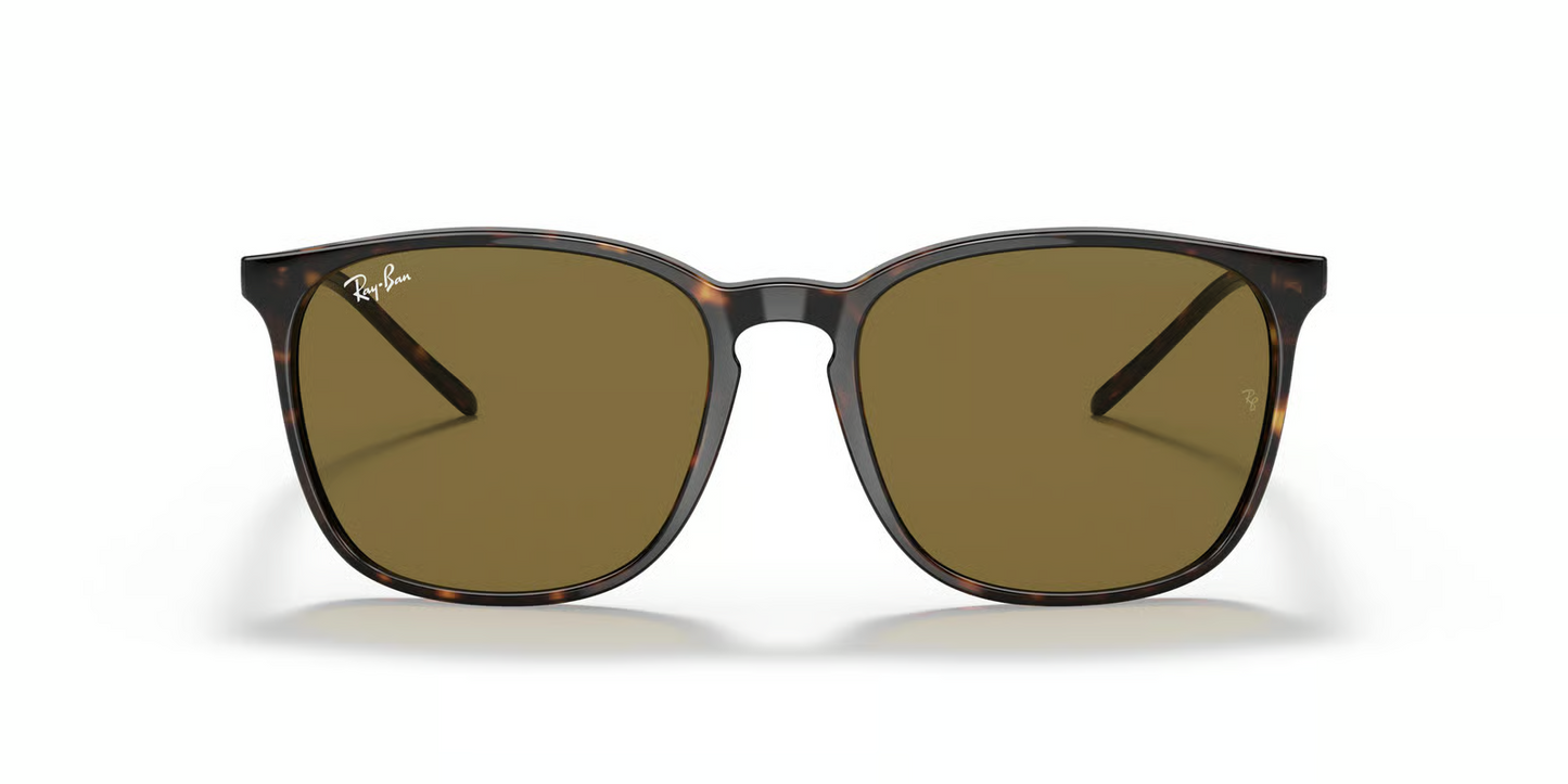 Ray-Ban RB4387F Sunglasses