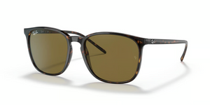 902/73 - Tortoise with Brown Classic Lenses