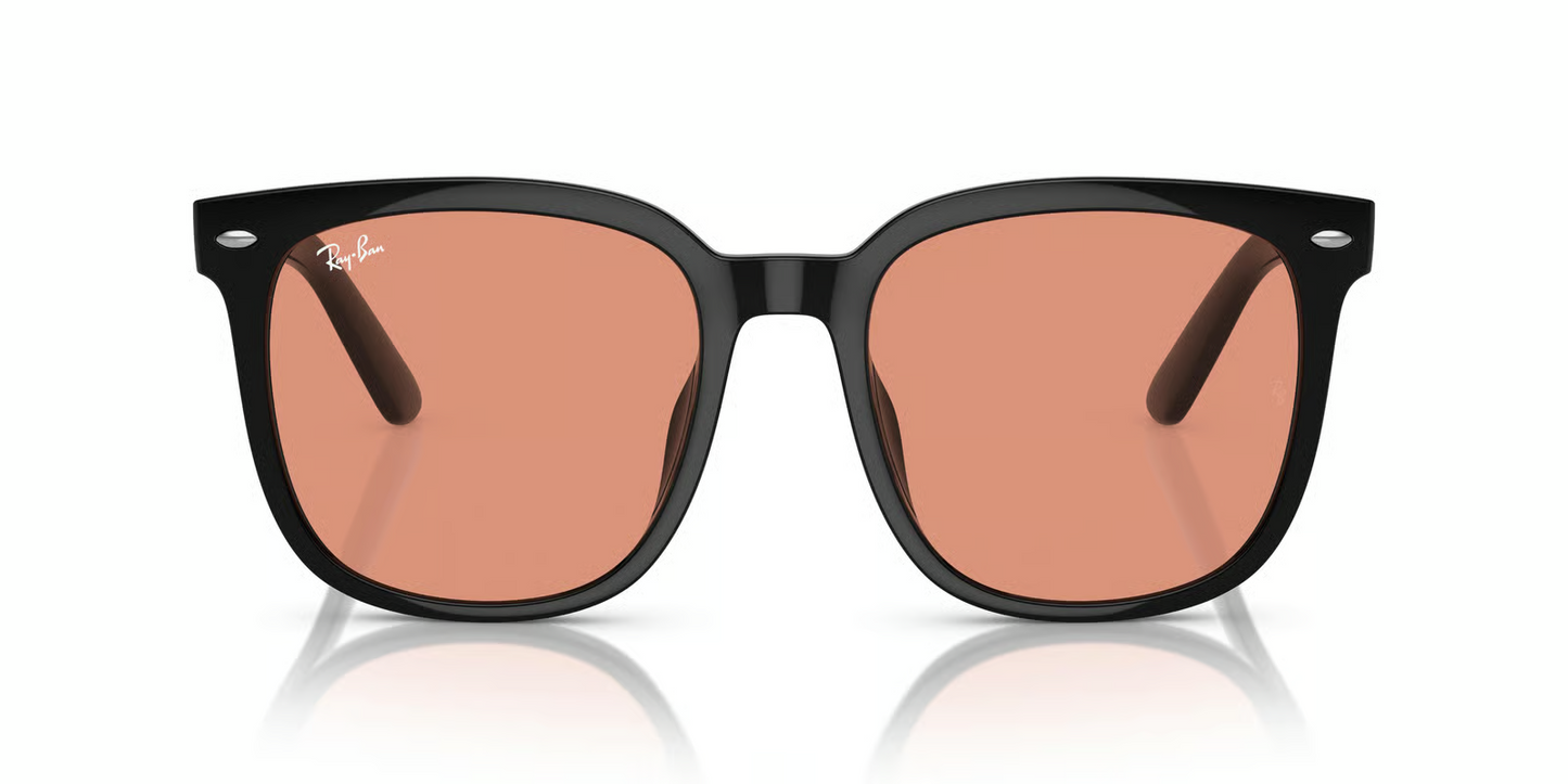 Ray-Ban RB4401D Sunglasses