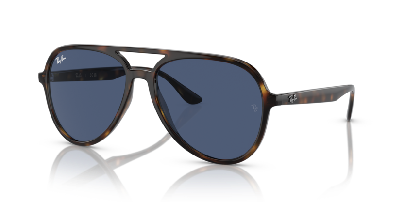 Ray-Ban RB4376 Sunglasses