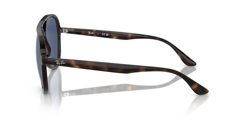 Ray-Ban RB4376 Sunglasses