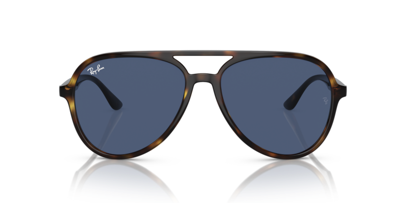 Ray-Ban RB4376 Sunglasses
