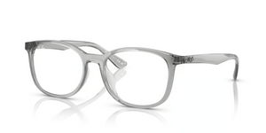 8012 - Transparent Grey with Clear Lenses