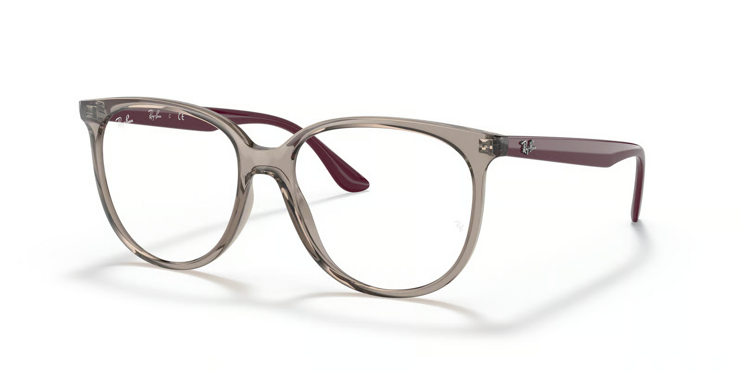 Ray-Ban Optical RX4378V Eyeglasses