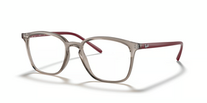 8083 - Transparent Grey with Clear Lenses