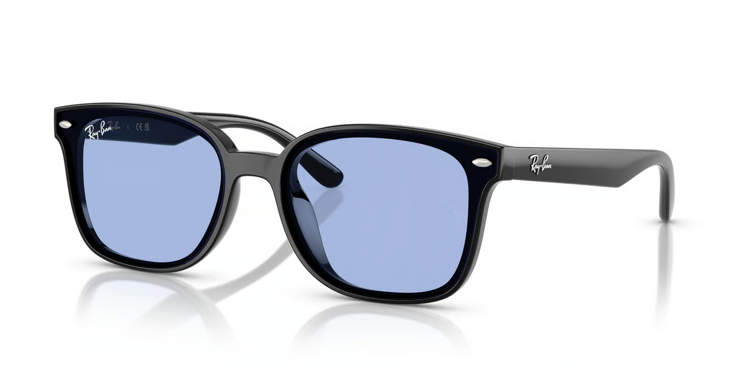 Ray-Ban RB4461D Sunglasses