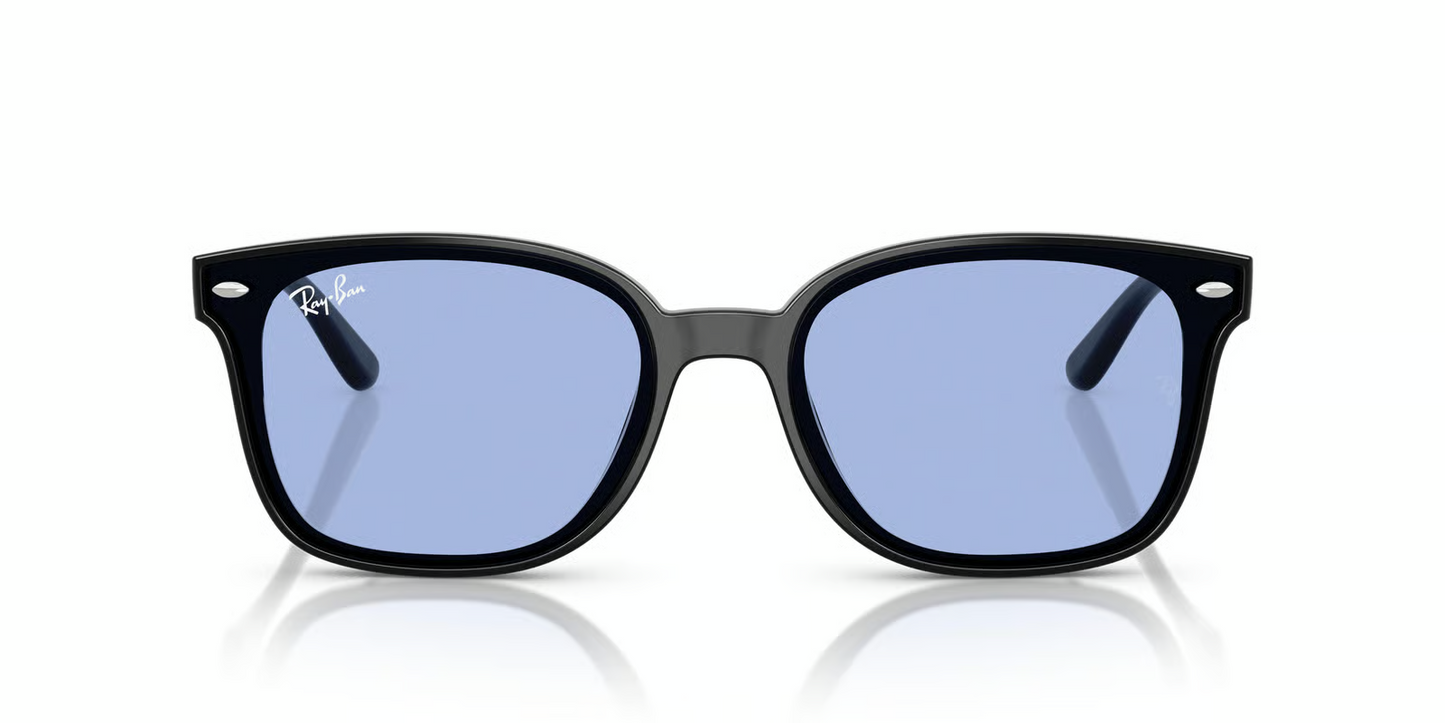 Ray-Ban RB4461D Sunglasses