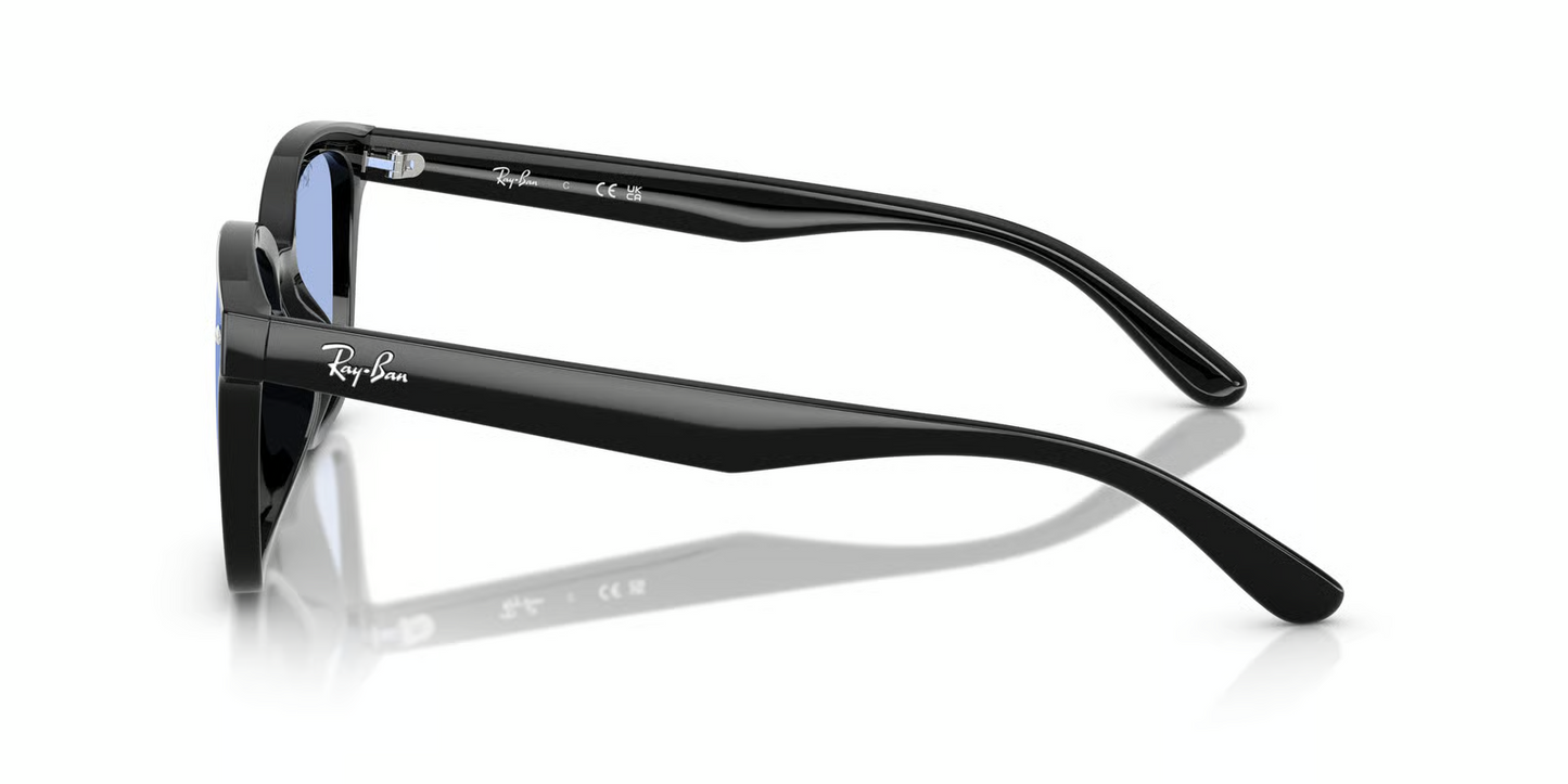 Ray-Ban RB4461D Sunglasses