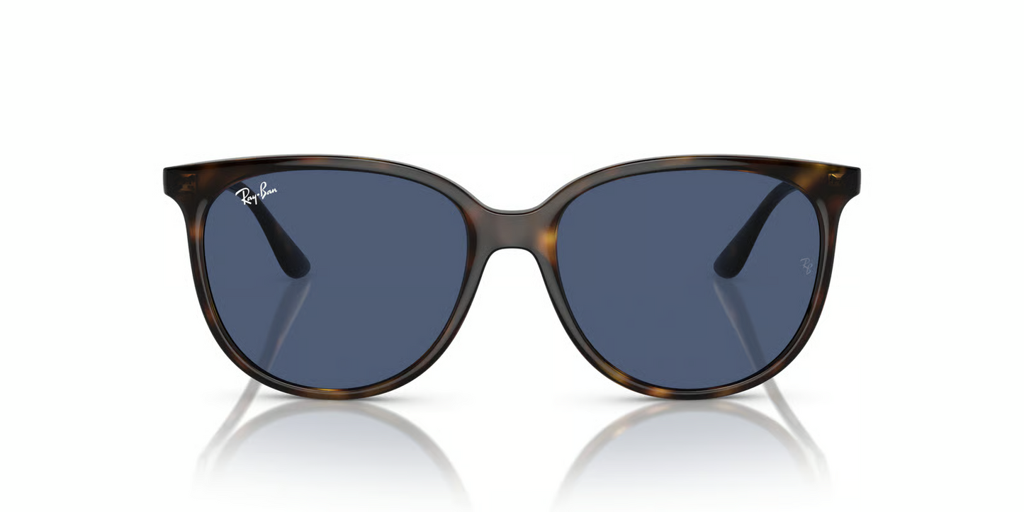 Ray-Ban RB4378 Sunglasses