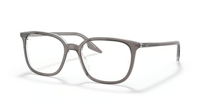 8111 - Grey On Transparent with Clear Lenses