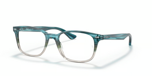 8146 - Havana with Clear Lenses