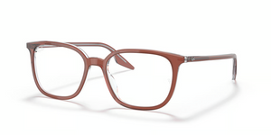 8171 - Brown On Transparent with Clear Lenses