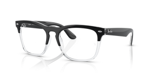 8193 - Black On Transparent with Clear Lenses