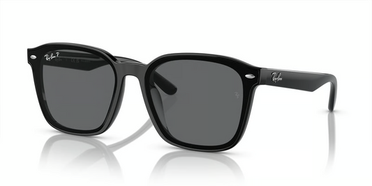 Ray-Ban RB4392D Sunglasses