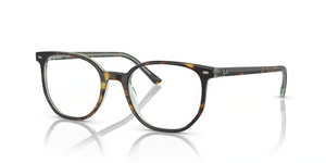 8249 - Havana On Transparent Green with Clear Lenses