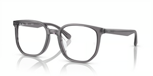8268 - Transparent Grey with Clear Lenses